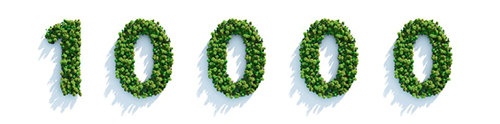 The number 10,000 comprised of trees