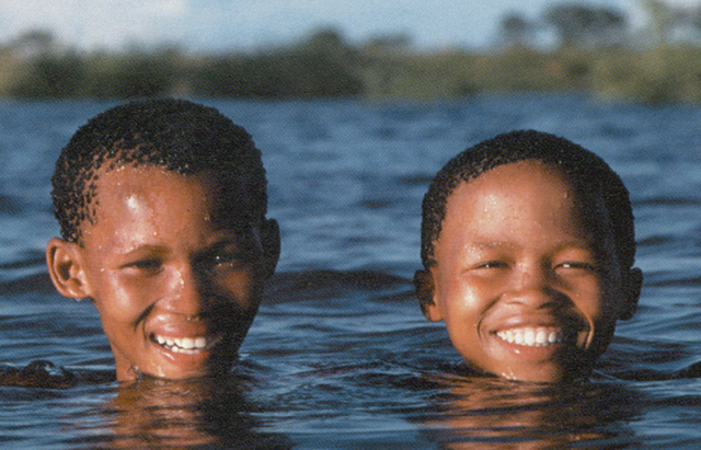 Facial Structure Comparison