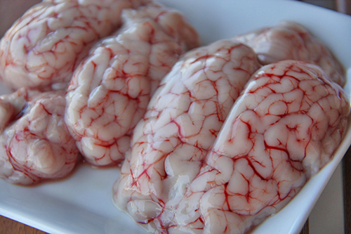 Photo of Lamb's Brains