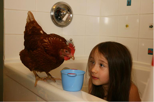 A Photo of Luiza's Daughter