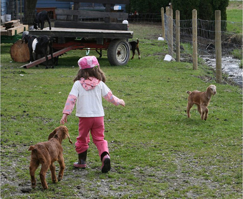 A Photo of Luiza's Children