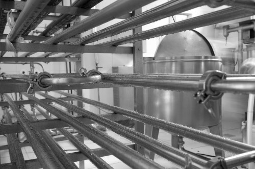 Photo of Pasteurization Process