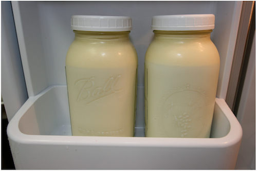 Photo of Whole, Raw Milk