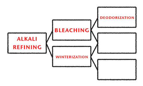 Cod Liver Oil Manufacturing