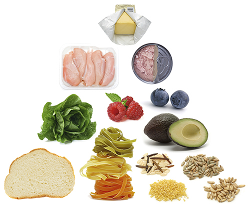 Food Pyramid