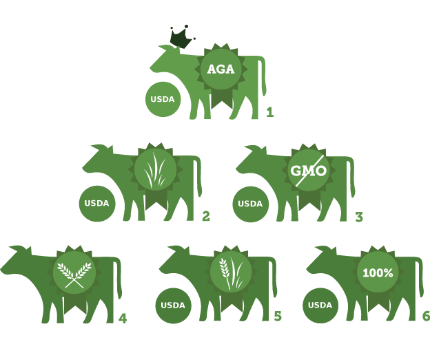 Quality of Beef Pyrmaid