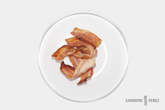 NT-PowerPoint-1554-Sandrine-Perez