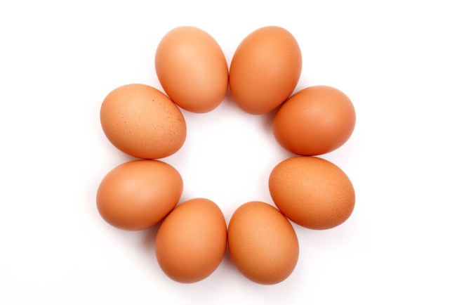 eggs isolated on white background close up