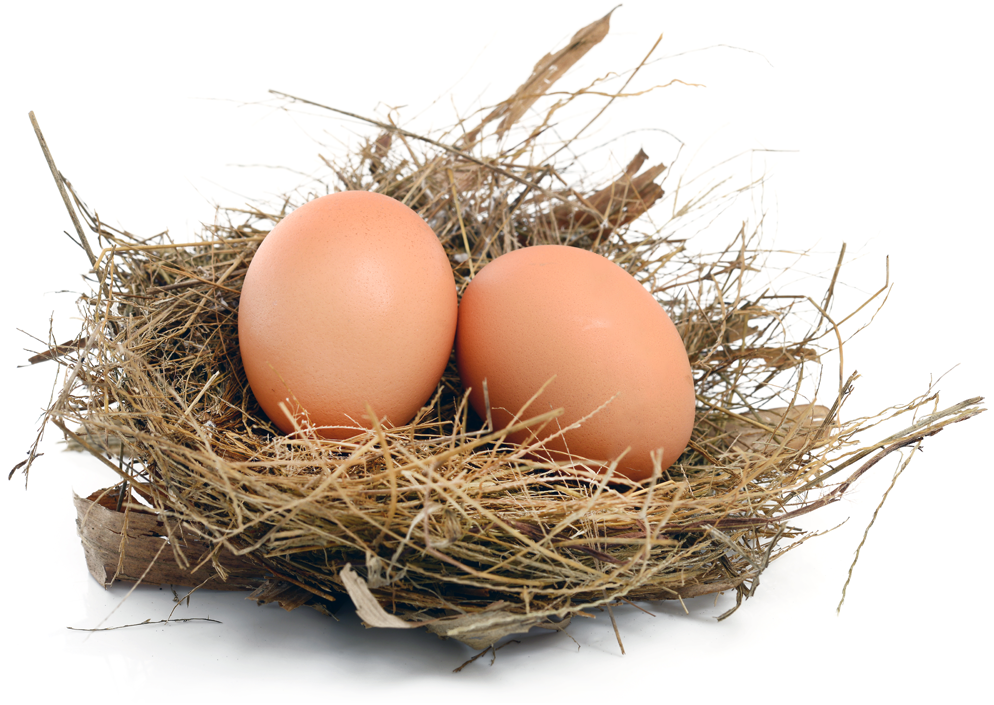 Nourishing Traditions: Fermenting for Soil Health & Resilience