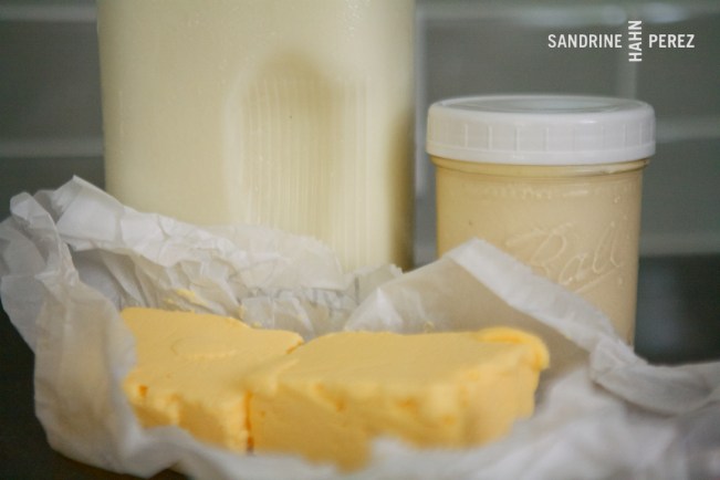 From The Field Farm v4