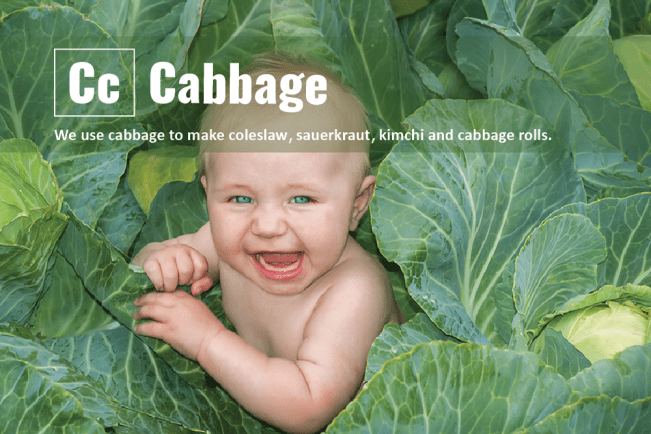 Real-Food-Alphabet-C-Cabbage-Final.png
