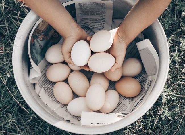 depositphotos_210502948_xl-2015-1000px